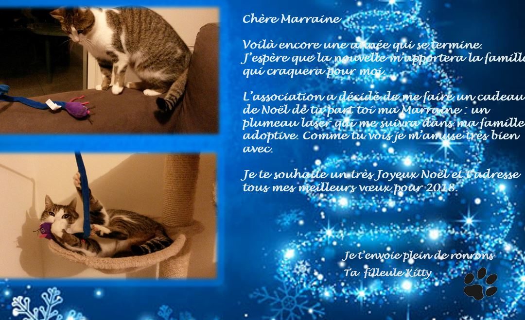 Cadeaux de Noël à nos protégés parrainés
