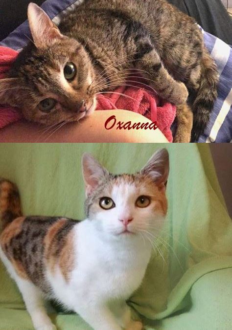 2 jolies demoiselles ont trouvé leur famille !