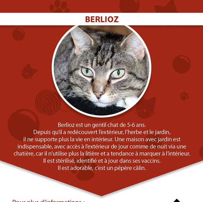 Berlioz de retour à l&rsquo;association