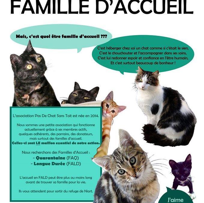 URGENT : Recherche familles d&rsquo;accueil