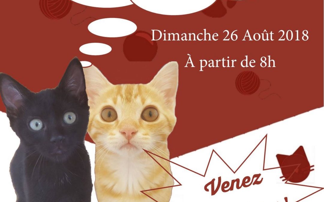 Vide grenier le 26 août 2018 à Coulon (79)