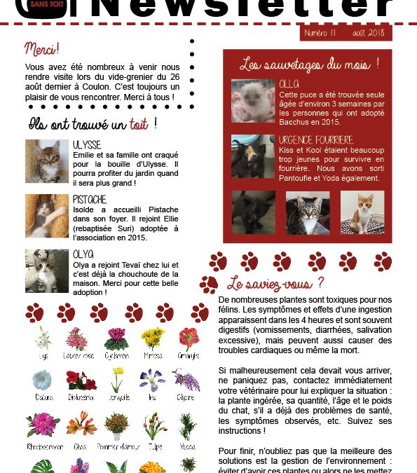 Newsletter Août 2018