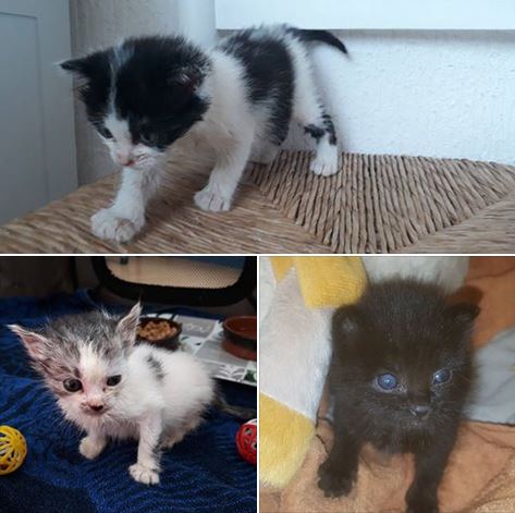Des nouvelles de nos plus jeunes protégés.