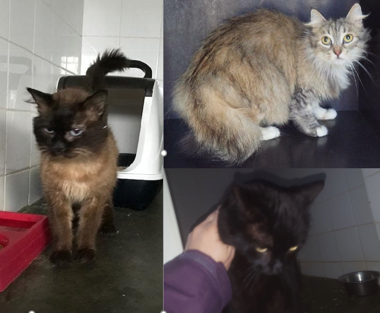1, 2 et 3 sorties aujourd&rsquo;hui !