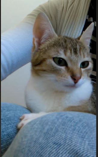 Penny a eu droit à une nounou pendant le week-end
