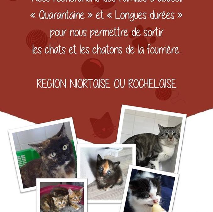 URGENT – Recherchons familles d&rsquo;accueil