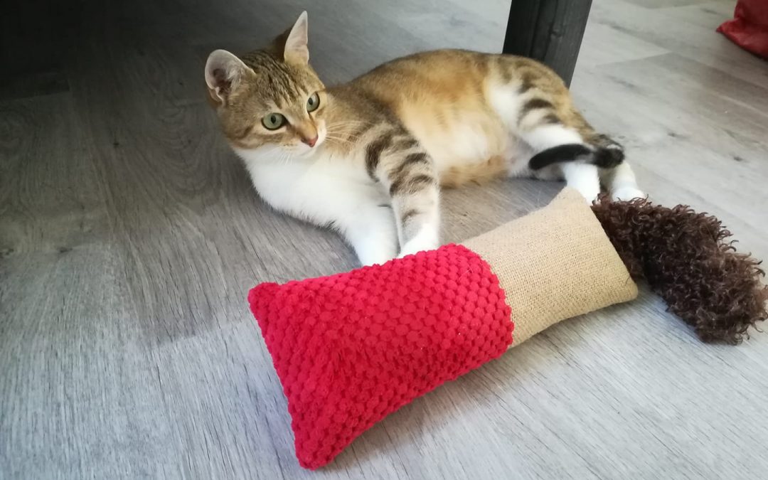 Le week-end continue avec une autre adoption touchante
