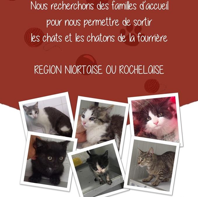 URGENT : recherchons familles d&rsquo;accueil