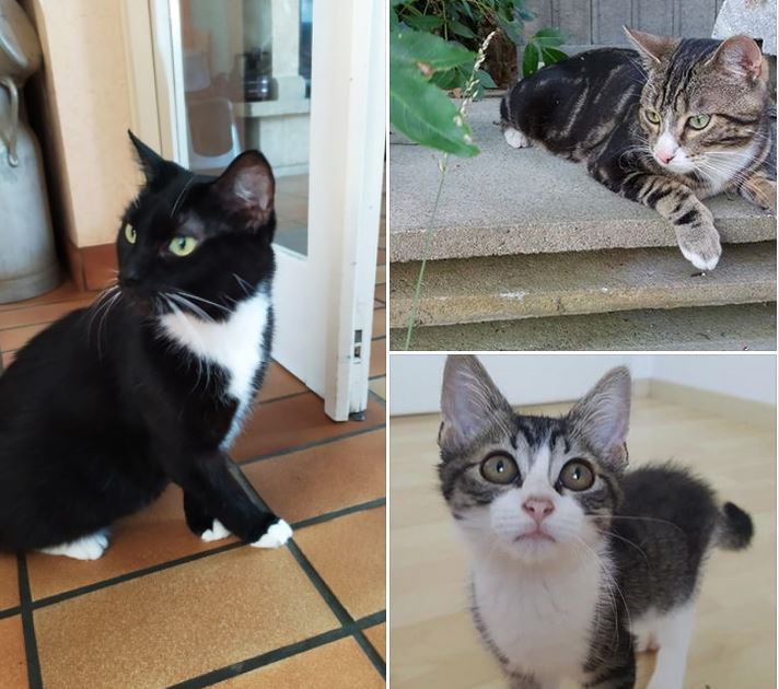 Un week-end encore plus ensoleillé par 3 belles adoptions