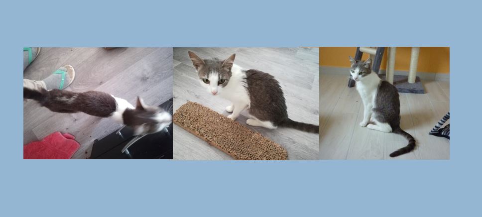 Des nouvelles de Lexie