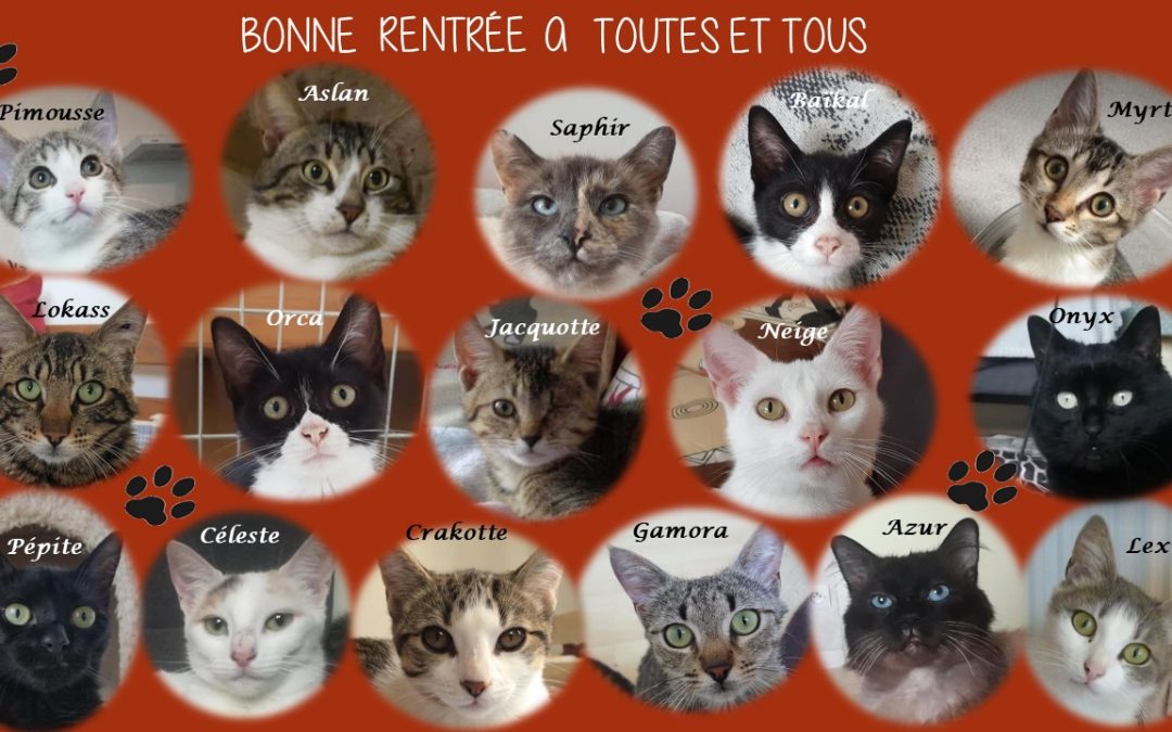 Bonne rentrée !!