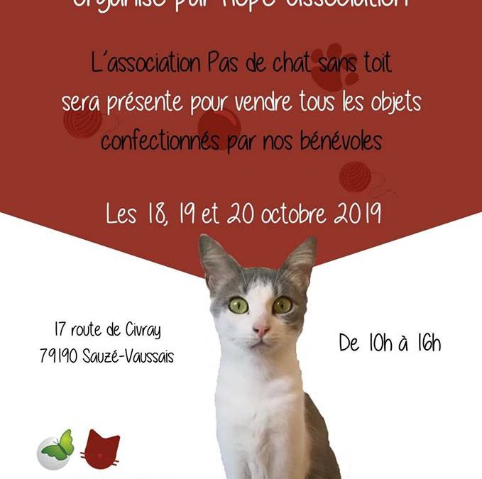 Vente de nos articles de la boutique en direct à Sauzé-Vaussais