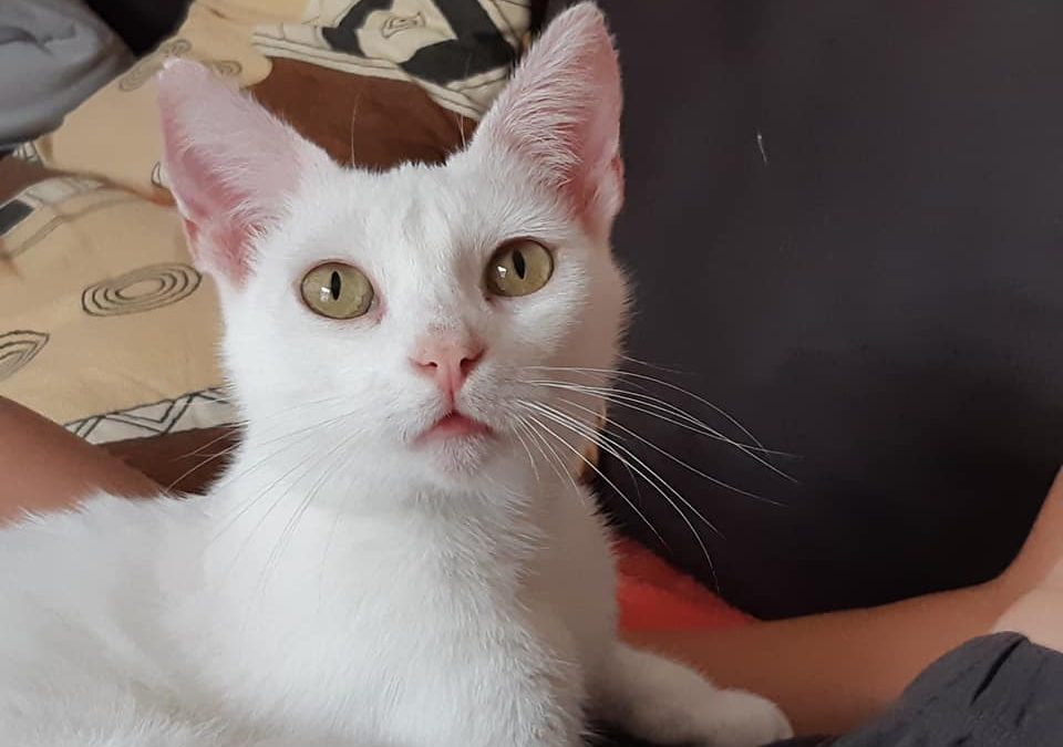 Neige a trouvé sa famille