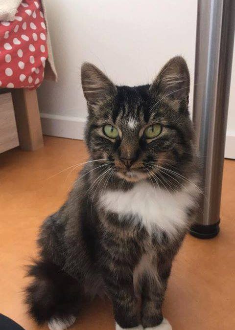Des nouvelles de notre beau Pixel