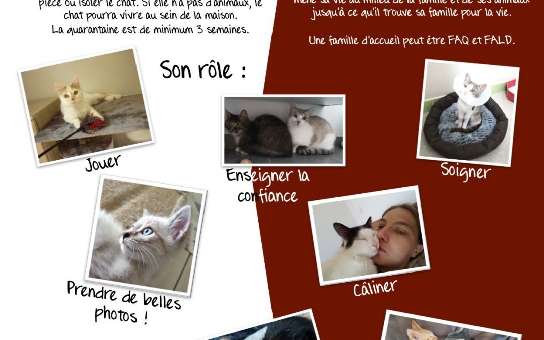 URGENT : Recherchons familles d&rsquo;accueil régions Sud Deux-Sèvres, Vendée ou Nord Charente-Maritime