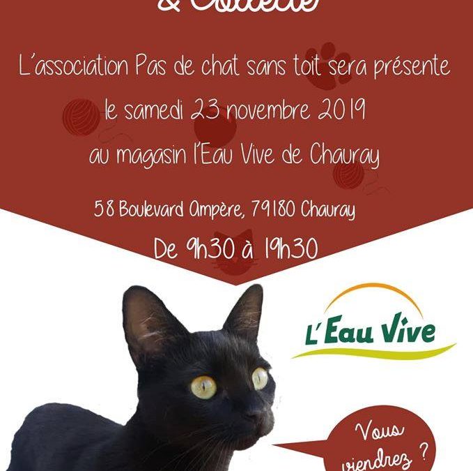 Aujourd&rsquo;hui notre stand boutique présente à l&rsquo;Eau-Vive de Chauray (79)