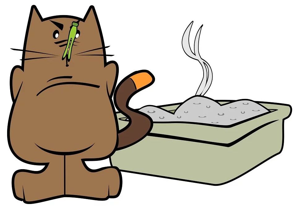 Quelques conseils sur la propreté de votre chat et sa litière