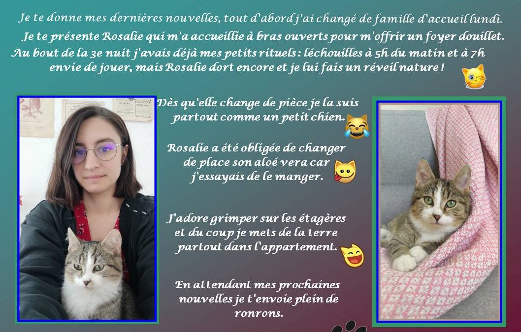 Bonne nouvelle : Queenie a trouvé sa famille d&rsquo;accueil pour la vie