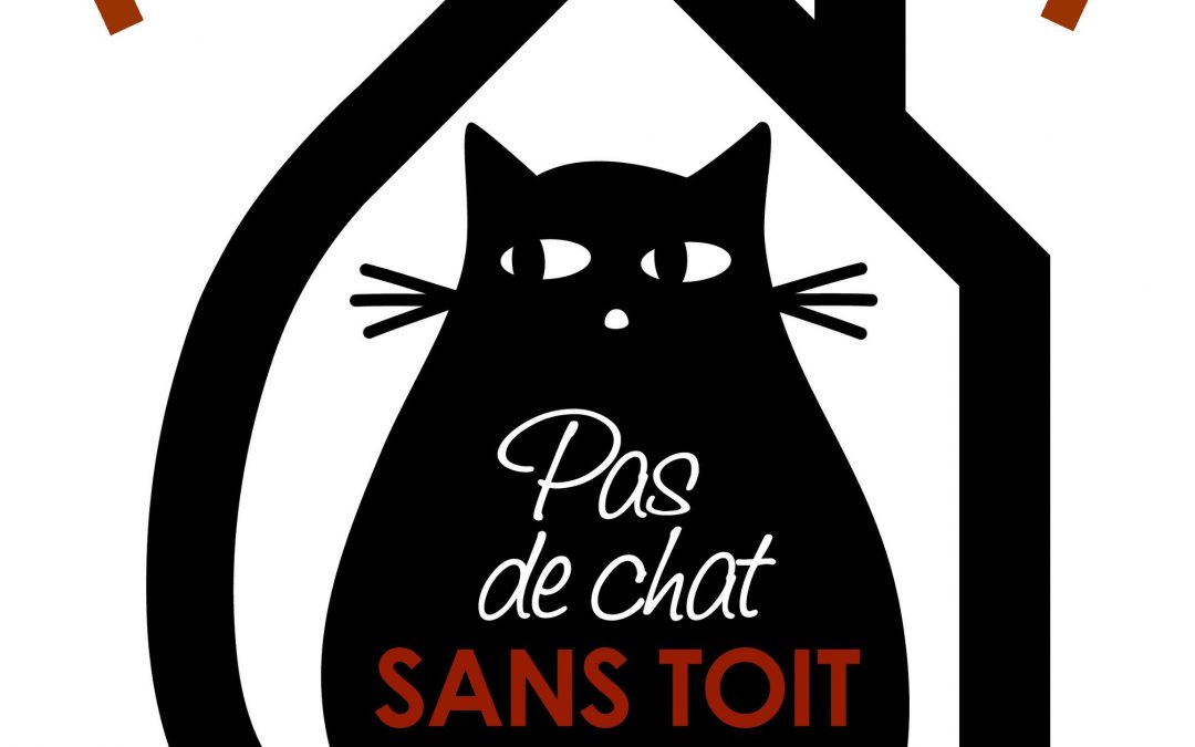 Un Quizz pour vous amuser !