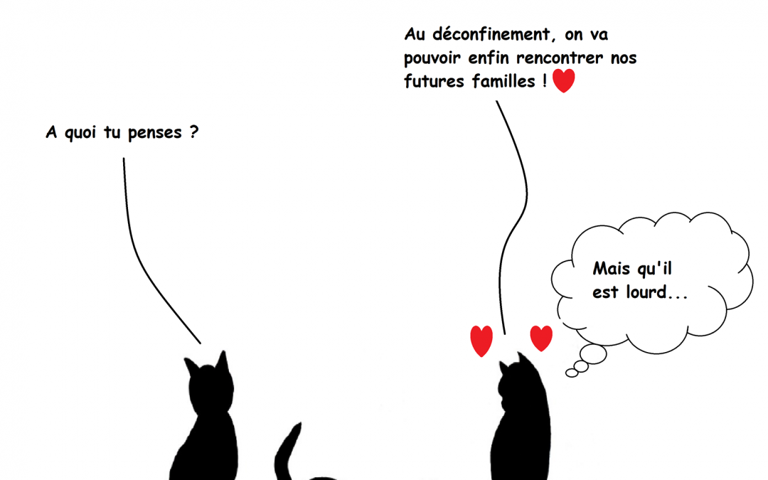 Le confinement se termine enfin !