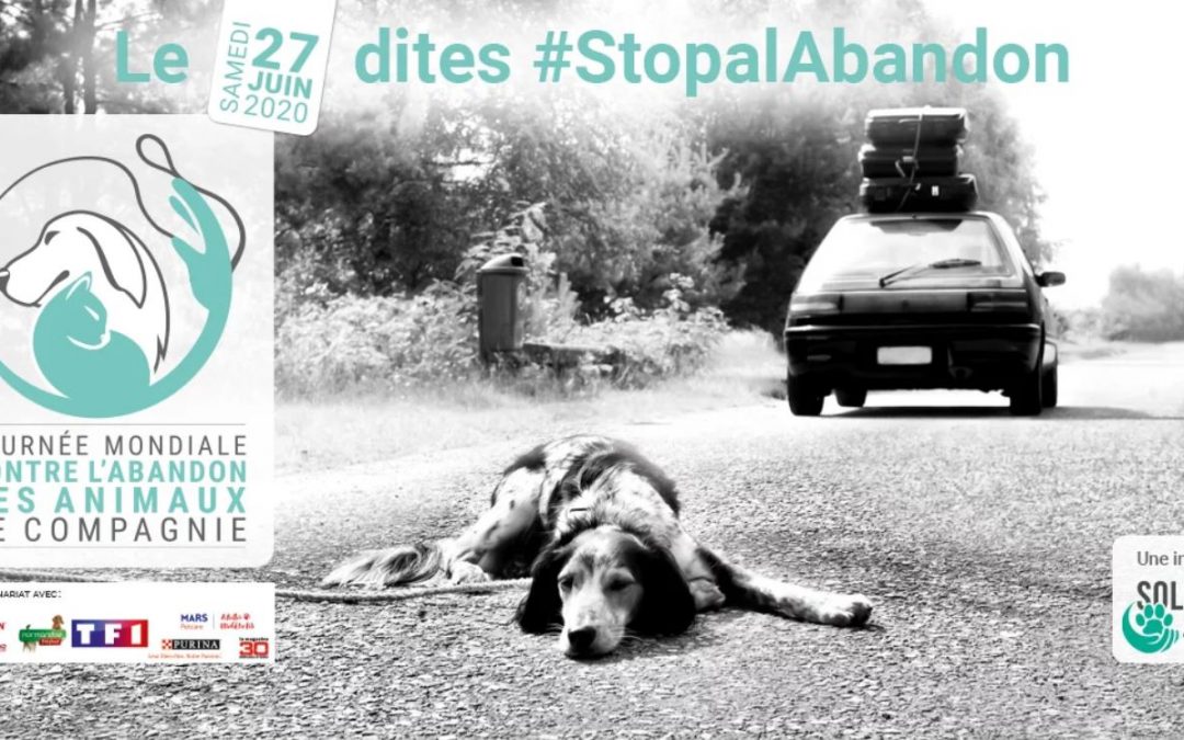 Journée mondiale contre l&rsquo;abandon des animaux de compagnie