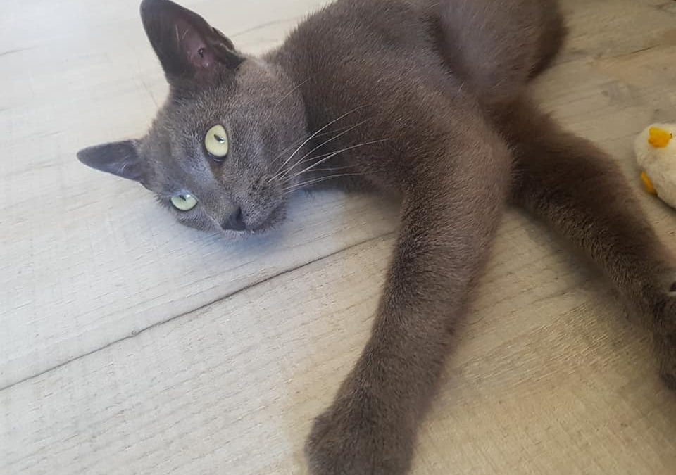 Et une nouvelle adoption sur La Rochelle