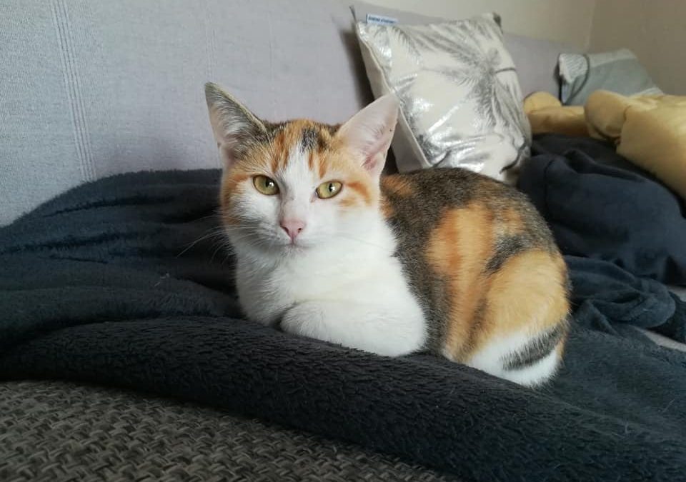 Et une nouvelle adoption pour finir le week-end