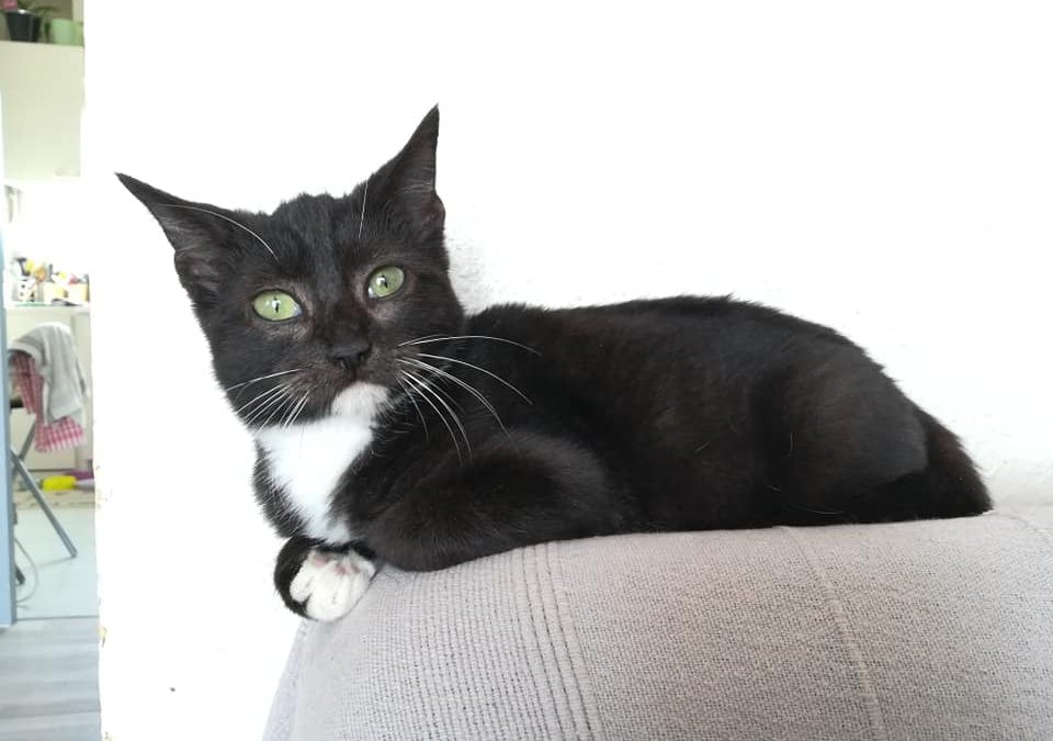 Ce week-end a commencé par une belle adoption