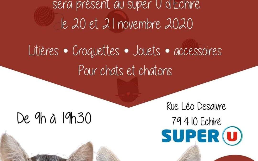 Une collecte est organisée à Echiré 79