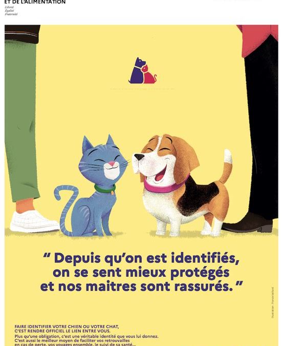 L&rsquo;histoire de Coppélia qui a retrouvé ses maîtres grâce à l&rsquo;identification