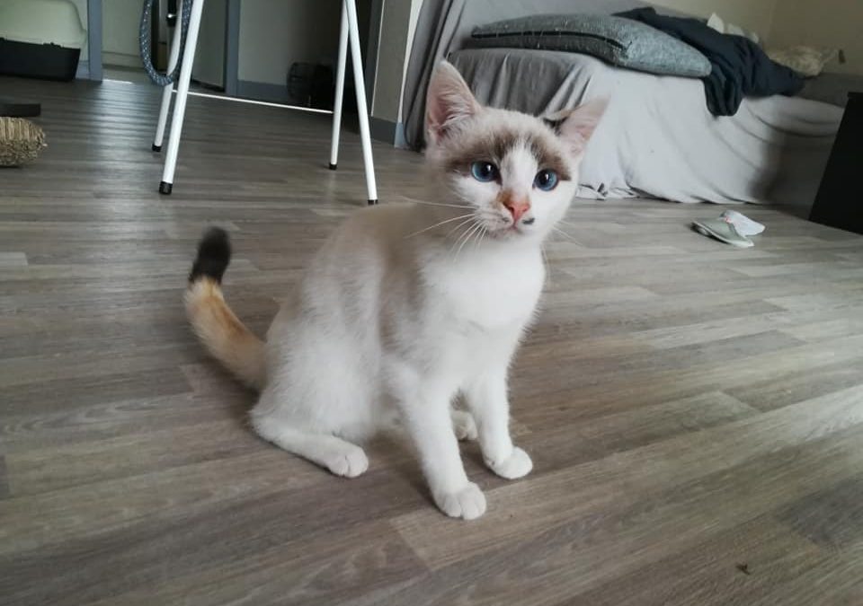 Une nouvelle adoption pour terminer le week-end