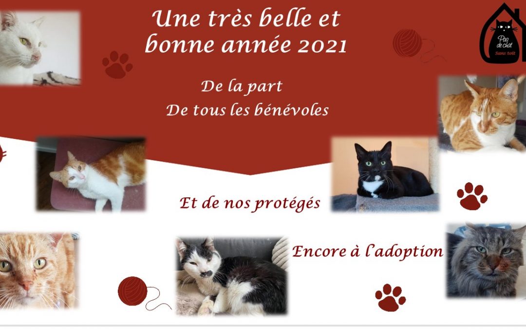 Une très belle année 2021 de la part de toute l&rsquo;équipe de l&rsquo;association
