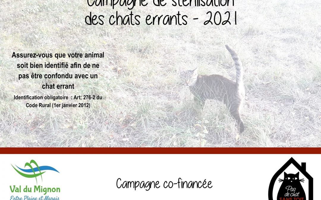 Campagne de stérilisation à Val de Mignon