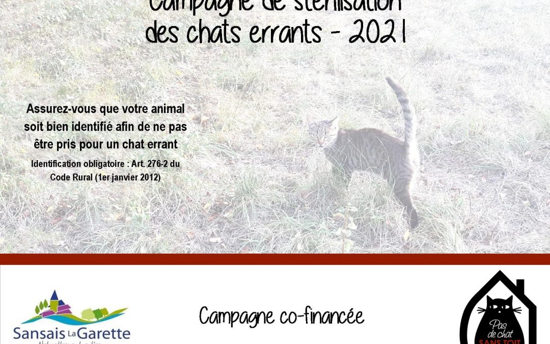 Démarrage de la campagne de stérilisation à Sansais