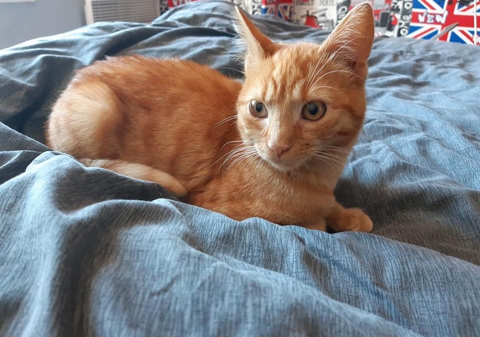 Début de mois, début de semaine et une nouvelle adoption !