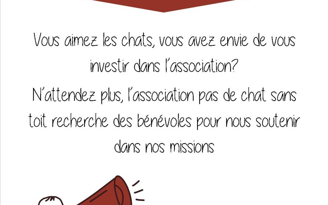 Bénévole à Pas de chat sans toit : intéressé ?