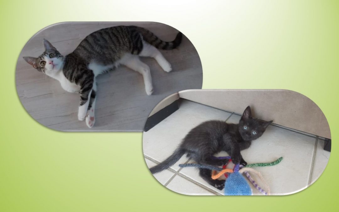 La semaine se termine par 2 belles adoptions