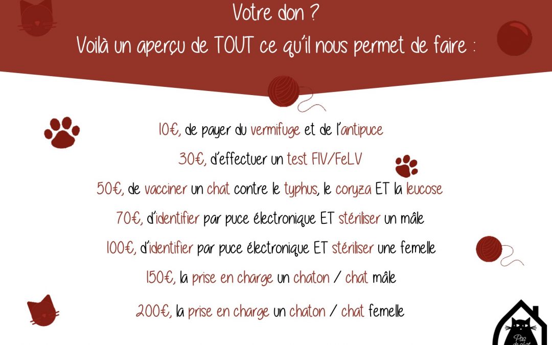 Grâce à vos dons nous sauvons et soignons nos boules de poils