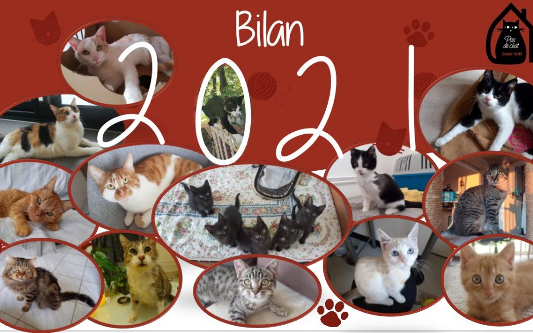 Bilan 2021 : une année encore riche en émotions !