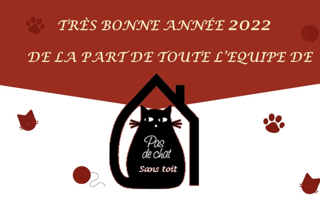 Toute l’équipe de Pas de chat sans toit vous souhaite une belle et heureuse année 2022 🥳