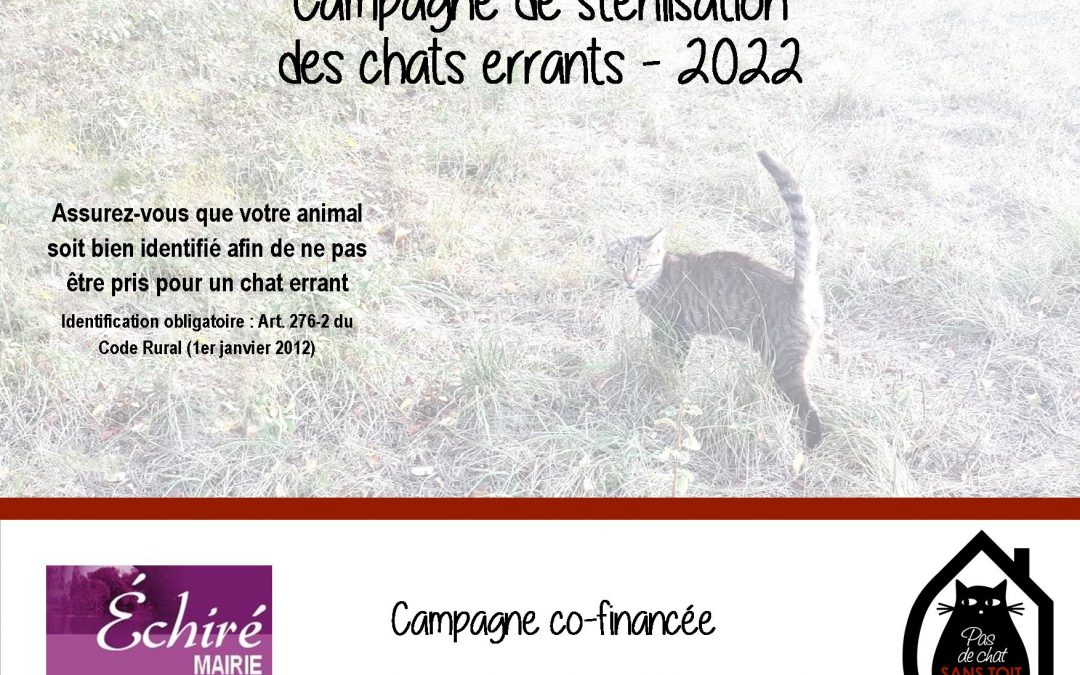 Campagne de stérilisation à Echiré