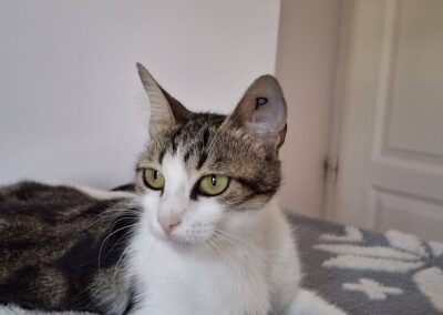 Martha