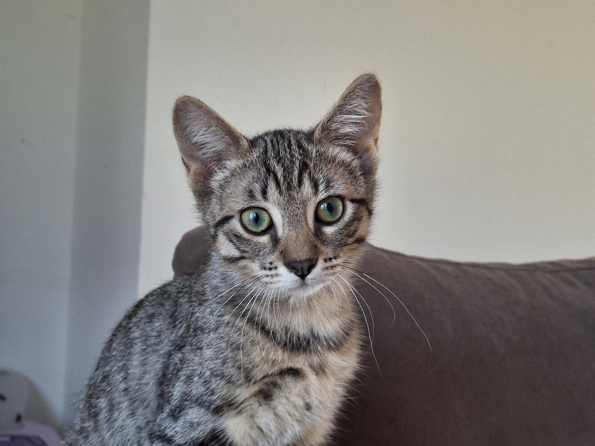 Azimut