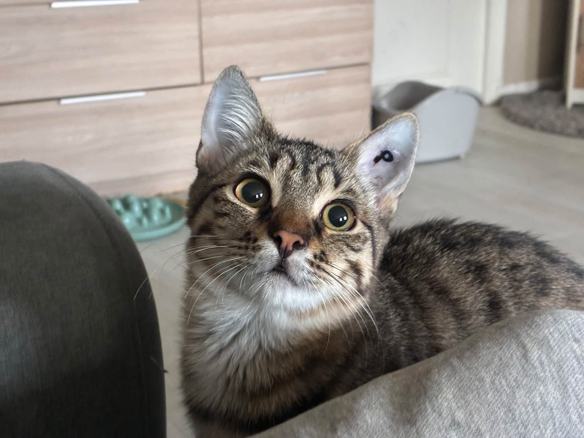 Duncan